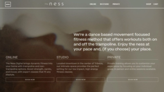 the ness Affiliate Program