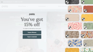 Pela Case Affiliate Program